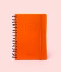 Cuaderno Ambar Anillado